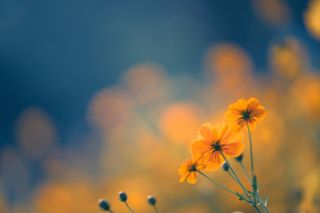 凯迪拉克的价位