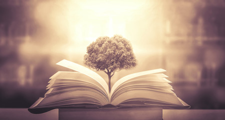 凯迪拉克的价位