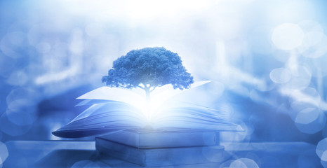 会车先行是什么意思