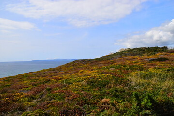 地上道路中的G S X Y Z C D,分别表示什么道-