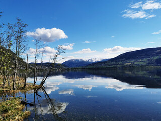 途昂的致命缺点最全总结