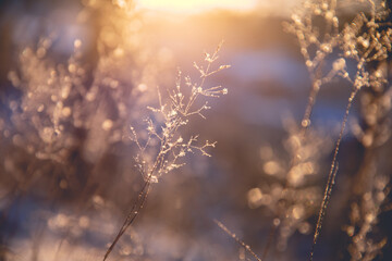 途昂的致命缺点最全总结