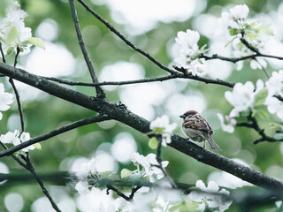 汽车大梁撞歪了能修好吗