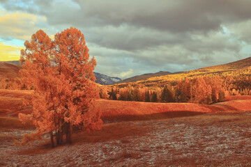 会车先行是什么意思