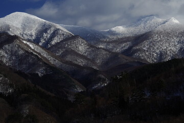途昂的致命缺点最全总结