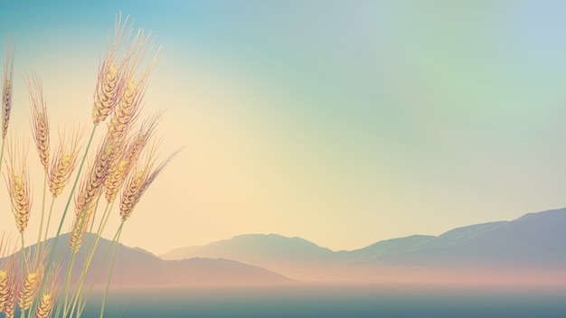 凯迪拉克的价位