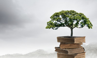 凯迪拉克的价位