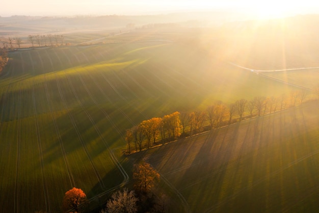 途昂的致命缺点最全总结