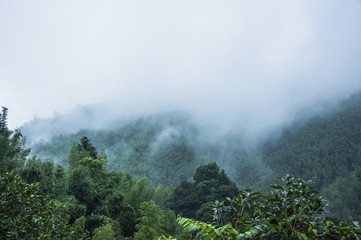 地上道路中的G S X Y Z C D,分别表示什么道-